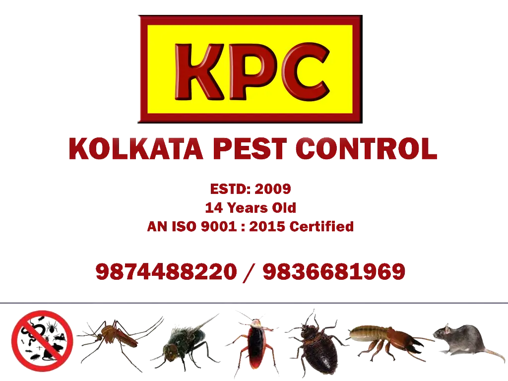 Kolkata-Pest-Control-KPC