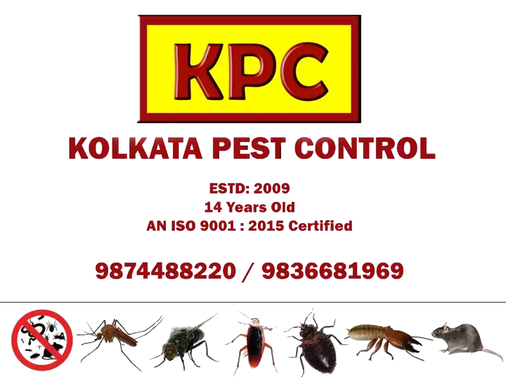 kolkata-pest-control-kpc-home-page-banner